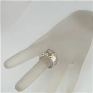 Hadar Designers 9k Gold Sterling Silver Garnet Ring
