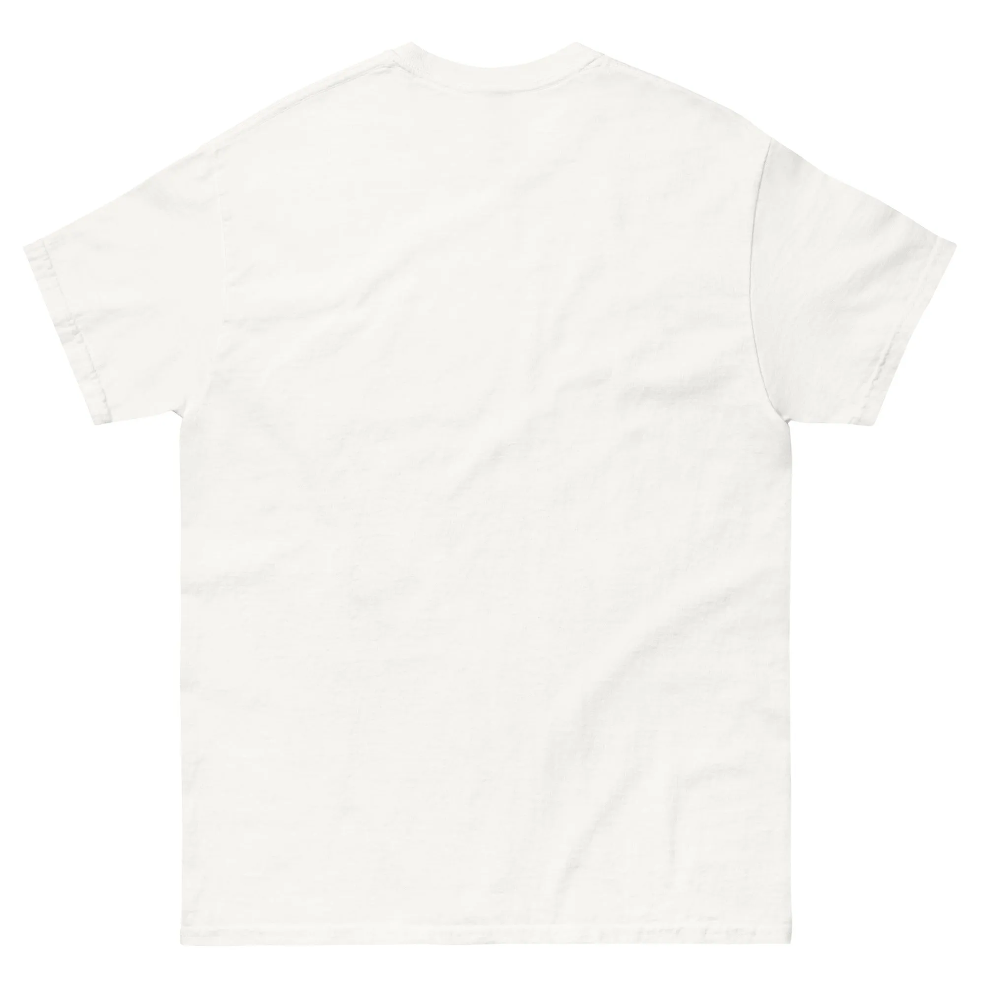 Haunted by My TBR Gildan Unisex classic tee