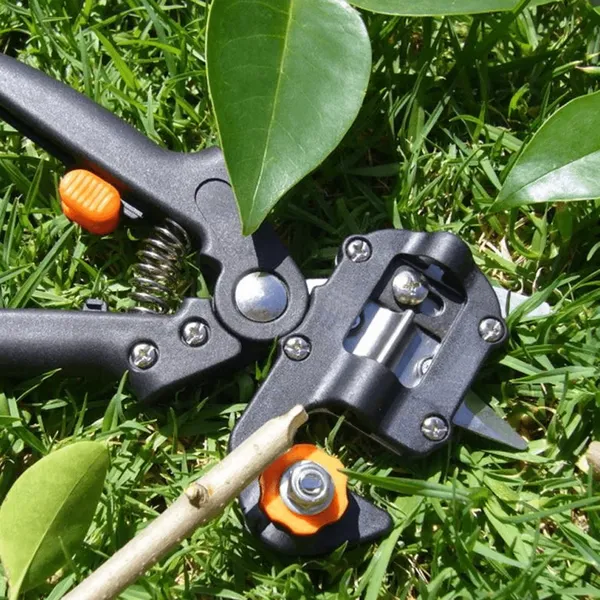 Professional Grafting & Pruning Tool